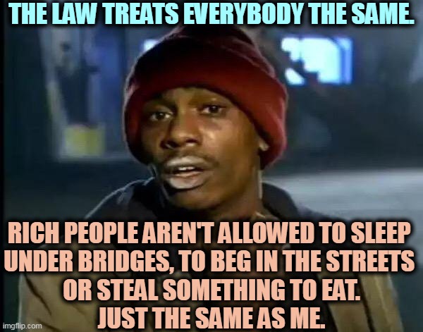 Irony Alert. |  THE LAW TREATS EVERYBODY THE SAME. RICH PEOPLE AREN'T ALLOWED TO SLEEP 
UNDER BRIDGES, TO BEG IN THE STREETS 
OR STEAL SOMETHING TO EAT.
JUST THE SAME AS ME. | image tagged in memes,y'all got any more of that,law,equality,rich people,poor people | made w/ Imgflip meme maker