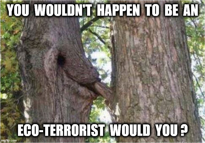 YOU  WOULDN'T  HAPPEN  TO  BE  AN ECO-TERRORIST  WOULD  YOU ? | made w/ Imgflip meme maker