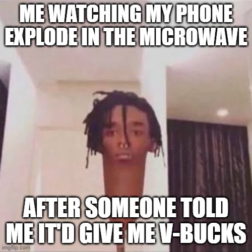 dissapointment | ME WATCHING MY PHONE EXPLODE IN THE MICROWAVE; AFTER SOMEONE TOLD ME IT'D GIVE ME V-BUCKS | image tagged in memes | made w/ Imgflip meme maker