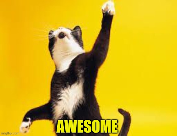 High Five Cat | AWESOME | image tagged in high five cat | made w/ Imgflip meme maker