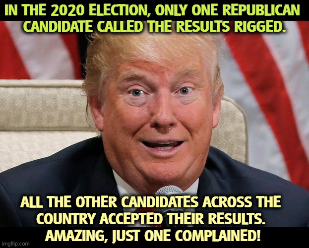 Hardly an epidemic, is it? | IN THE 2020 ELECTION, ONLY ONE REPUBLICAN 
CANDIDATE CALLED THE RESULTS RIGGED. ALL THE OTHER CANDIDATES ACROSS THE 
COUNTRY ACCEPTED THEIR RESULTS. 
AMAZING, JUST ONE COMPLAINED! | image tagged in election 2020,fake,complaints,trump,crybaby | made w/ Imgflip meme maker