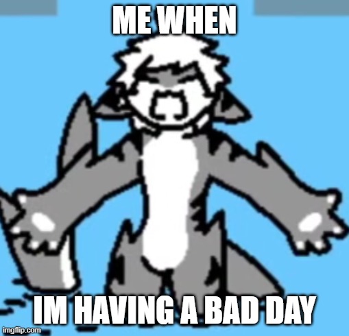 me when bad day | ME WHEN; IM HAVING A BAD DAY | image tagged in tiger shark rage,tiger shark,angy,changed | made w/ Imgflip meme maker