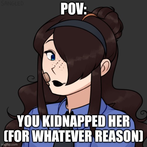 no ERP, and you may not kill her. but anything else in on the table. enjoy! | POV:; YOU KIDNAPPED HER (FOR WHATEVER REASON) | made w/ Imgflip meme maker