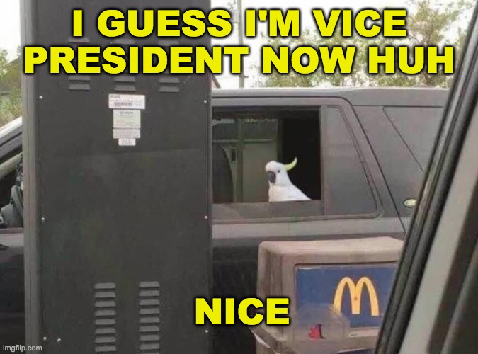 Noice | I GUESS I'M VICE PRESIDENT NOW HUH; NICE | image tagged in can i get uhhh,memes,unfunny | made w/ Imgflip meme maker