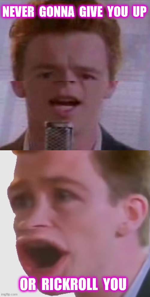 NEVER  GONNA  GIVE  YOU  UP OR  RICKROLL  YOU | made w/ Imgflip meme maker