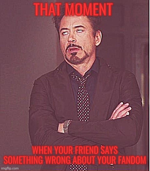 Face You Make Robert Downey Jr Meme | THAT MOMENT; WHEN YOUR FRIEND SAYS SOMETHING WRONG ABOUT YOUR FANDOM | image tagged in memes,face you make robert downey jr | made w/ Imgflip meme maker