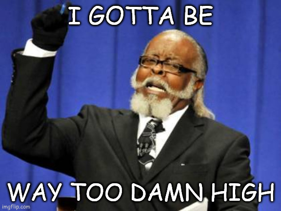 I GOTTA BE WAY TOO DAMN HIGH | image tagged in memes,too damn high | made w/ Imgflip meme maker