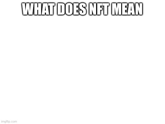 Blank White Template | WHAT DOES NFT MEAN | image tagged in blank white template | made w/ Imgflip meme maker