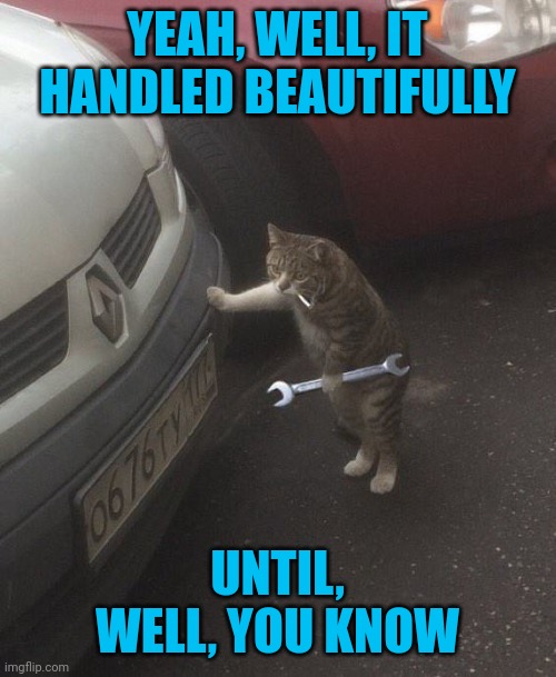 Mechanic cat | YEAH, WELL, IT HANDLED BEAUTIFULLY UNTIL, WELL, YOU KNOW | image tagged in mechanic cat | made w/ Imgflip meme maker