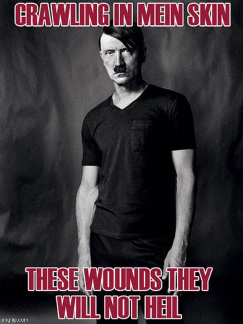 crawling in mein skin these wounds will not heil | made w/ Imgflip meme maker