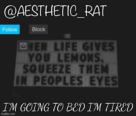 Aesthetic_Rat | I’M GOING TO BED I’M TIRED | image tagged in aesthetic_rat | made w/ Imgflip meme maker