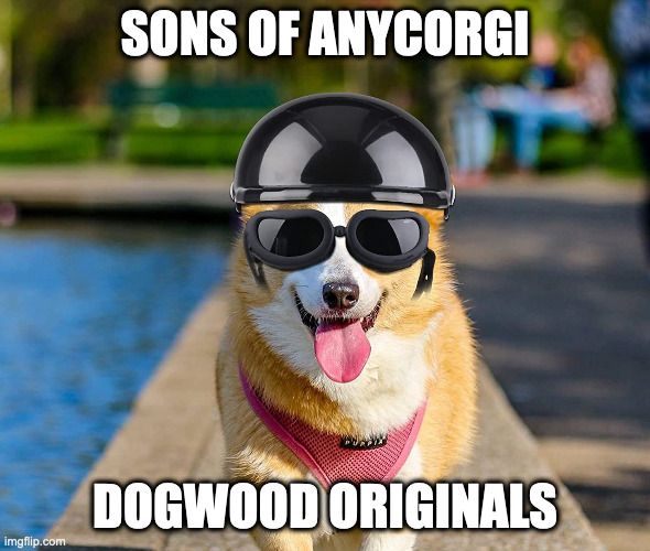 Sons of Anycorgi | SONS OF ANYCORGI; DOGWOOD ORIGINALS | image tagged in corgi | made w/ Imgflip meme maker