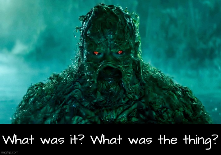 What was it? What was the thing? | made w/ Imgflip meme maker