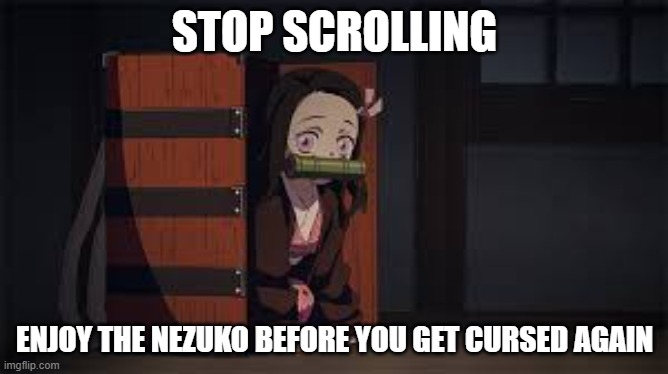 yes be blessed or idrk what- | STOP SCROLLING; ENJOY THE NEZUKO BEFORE YOU GET CURSED AGAIN | image tagged in demon slayer nezuko | made w/ Imgflip meme maker