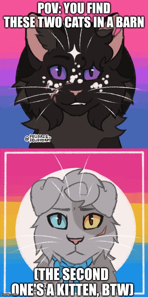 A Part 2 to a Previous RP | POV: YOU FIND THESE TWO CATS IN A BARN; (THE SECOND  ONE'S A KITTEN, BTW) | image tagged in warriors,cats,warrior cats | made w/ Imgflip meme maker