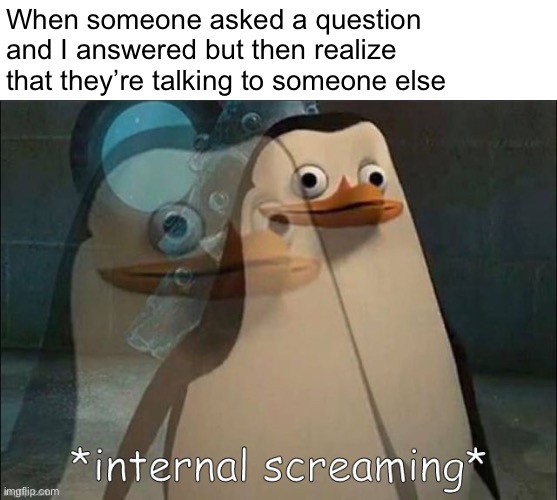 Akward… | When someone asked a question and I answered but then realize that they’re talking to someone else | image tagged in private internal screaming | made w/ Imgflip meme maker