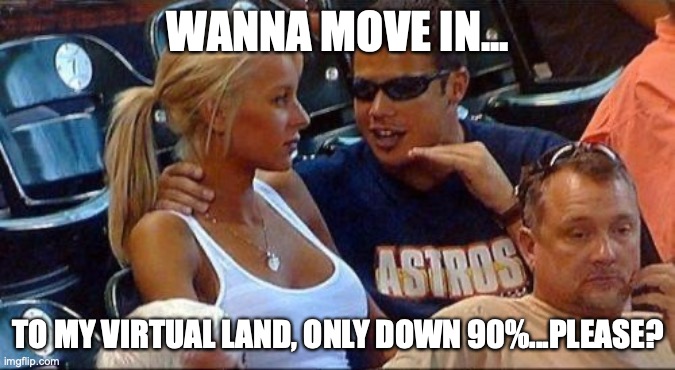 guy talking to hot chick | WANNA MOVE IN... TO MY VIRTUAL LAND, ONLY DOWN 90%...PLEASE? | image tagged in guy talking to hot chick | made w/ Imgflip meme maker