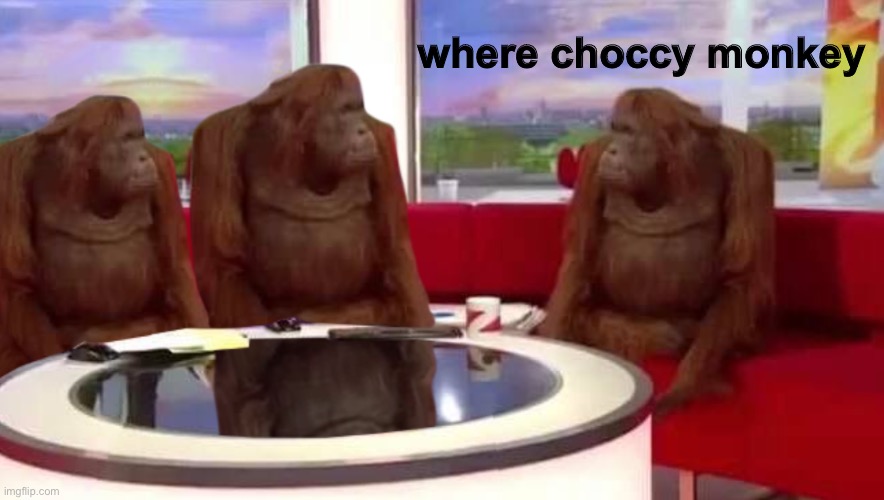 where monkey | where choccy monkey | image tagged in where monkey | made w/ Imgflip meme maker