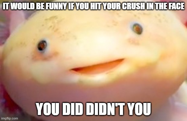 Just Friend talk | IT WOULD BE FUNNY IF YOU HIT YOUR CRUSH IN THE FACE; YOU DID DIDN'T YOU | image tagged in axolotl has been desturbed,axolotl,crush | made w/ Imgflip meme maker