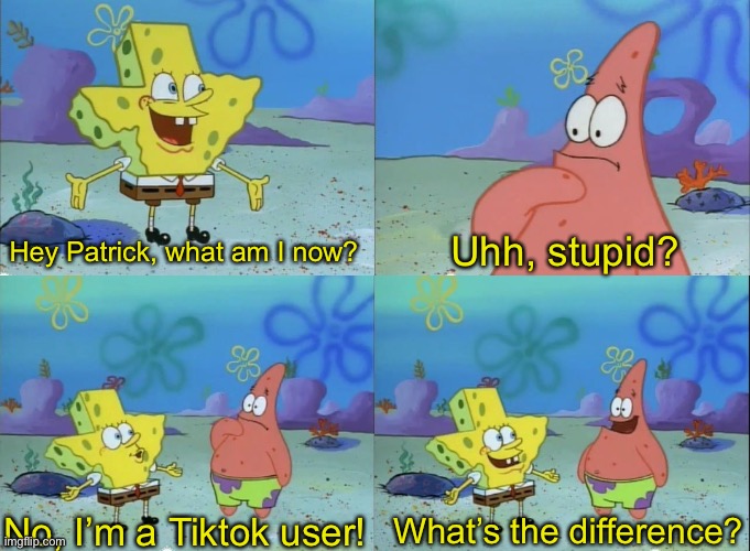 True story | Uhh, stupid? Hey Patrick, what am I now? No, I’m a Tiktok user! What’s the difference? | image tagged in hey patrick what am i now | made w/ Imgflip meme maker