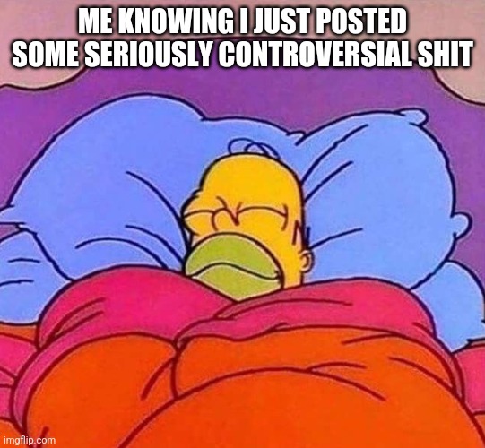 Homer Simpson sleeping peacefully | ME KNOWING I JUST POSTED SOME SERIOUSLY CONTROVERSIAL SHIT | image tagged in homer simpson sleeping peacefully | made w/ Imgflip meme maker