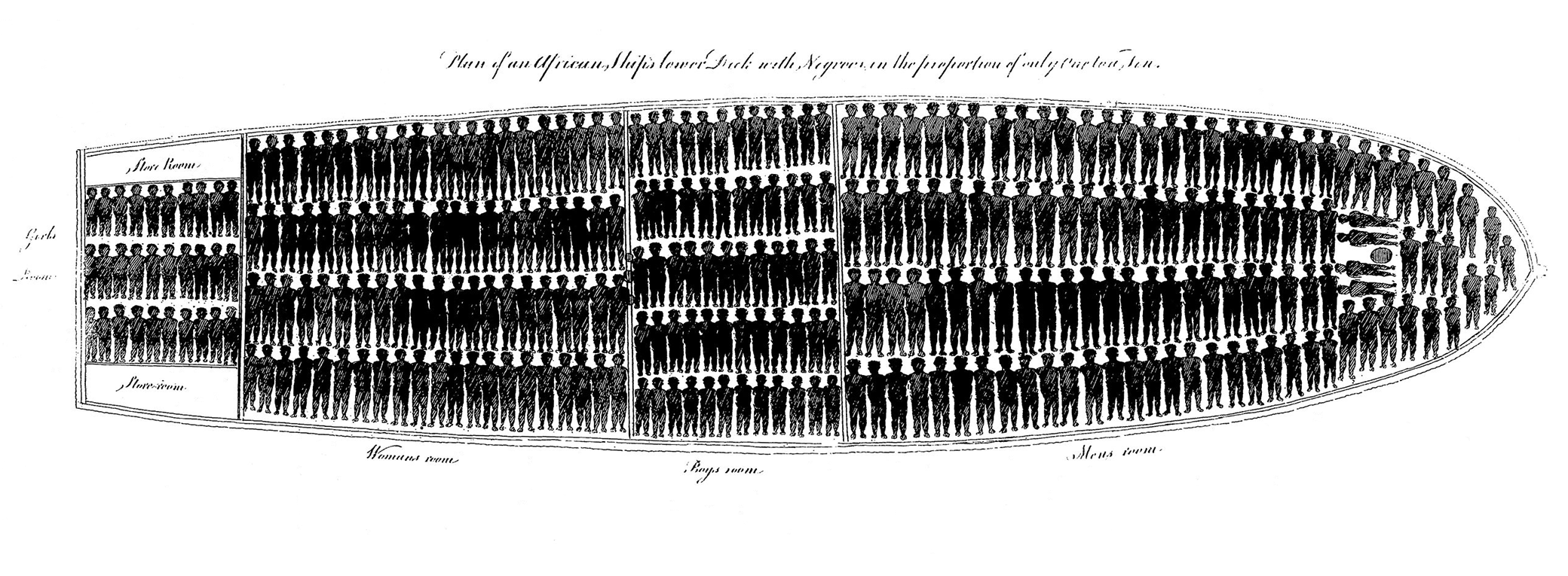 High Quality Plan of the Lower Deck of an African slave ship 1789 Blank Meme Template