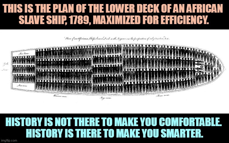 Plan of the Lower Deck of an African slave ship 1789 | THIS IS THE PLAN OF THE LOWER DECK OF AN AFRICAN 
SLAVE SHIP, 1789, MAXIMIZED FOR EFFICIENCY. HISTORY IS NOT THERE TO MAKE YOU COMFORTABLE. 

HISTORY IS THERE TO MAKE YOU SMARTER. | image tagged in plan of the lower deck of an african slave ship 1789,history,america,uncomfortable,true,education | made w/ Imgflip meme maker
