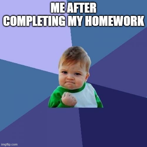 Success Kid | ME AFTER COMPLETING MY HOMEWORK | image tagged in memes,success kid | made w/ Imgflip meme maker