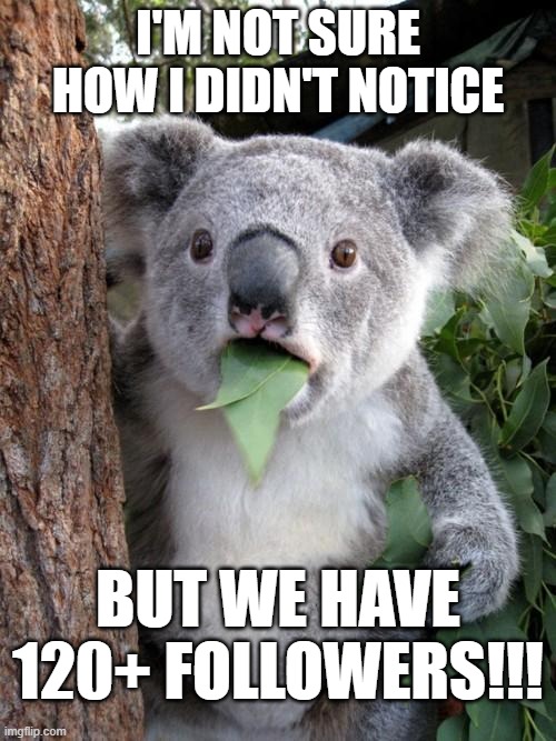 Maybe it's my memory again xD BUT DAMN! | I'M NOT SURE HOW I DIDN'T NOTICE; BUT WE HAVE 120+ FOLLOWERS!!! | image tagged in memes,surprised koala,followers,mad pride,streams | made w/ Imgflip meme maker