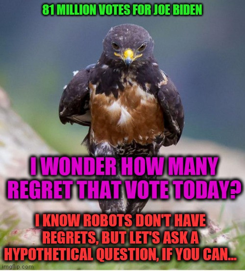 Let's Talk About Votes and Voters and who counts the Votes | 81 MILLION VOTES FOR JOE BIDEN; I WONDER HOW MANY REGRET THAT VOTE TODAY? I KNOW ROBOTS DON'T HAVE REGRETS, BUT LET'S ASK A HYPOTHETICAL QUESTION, IF YOU CAN... | image tagged in wondering wandering falcon,joe biden,voter fraud,cheating,liars | made w/ Imgflip meme maker