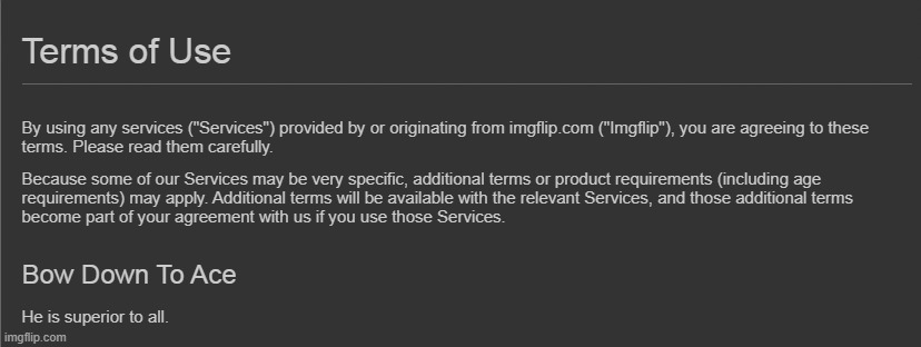 terms of service article 1 | made w/ Imgflip meme maker