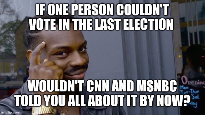 Voter Cheating Laws | IF ONE PERSON COULDN'T VOTE IN THE LAST ELECTION; WOULDN'T CNN AND MSNBC TOLD YOU ALL ABOUT IT BY NOW? | image tagged in memes,roll safe think about it,media lies,white house,lies | made w/ Imgflip meme maker