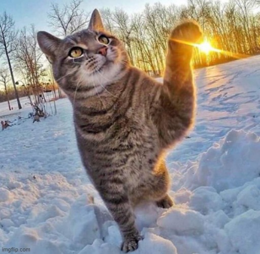 image tagged in awesome | made w/ Imgflip meme maker