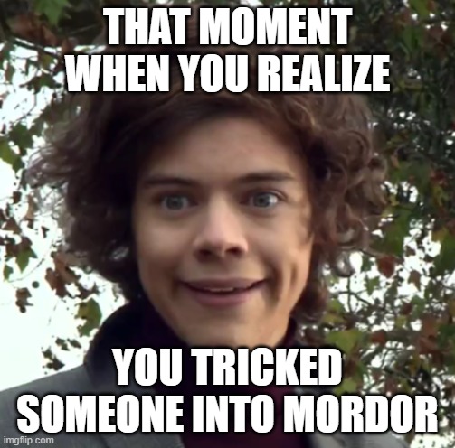 Tricking | THAT MOMENT WHEN YOU REALIZE; YOU TRICKED SOMEONE INTO MORDOR | image tagged in harry funny face | made w/ Imgflip meme maker