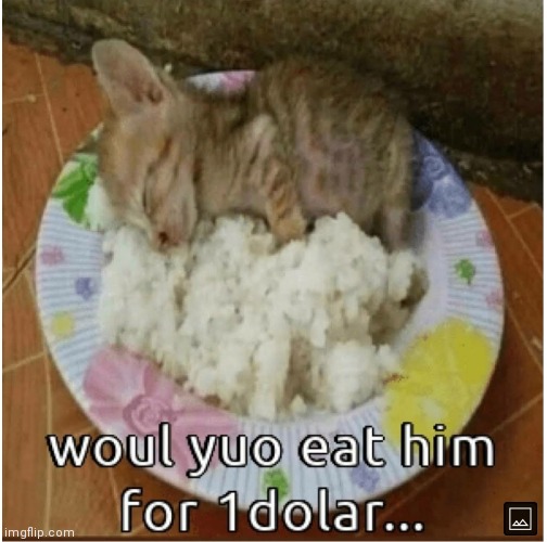 Woul yuo? | image tagged in would you like to,eat,him,for one dolar | made w/ Imgflip meme maker
