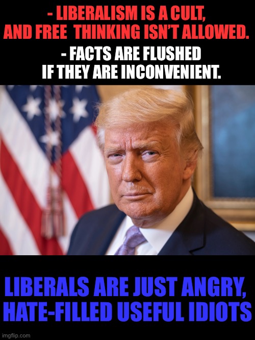 Don’t be an idiot. | - LIBERALISM IS A CULT,
AND FREE  THINKING ISN’T ALLOWED. - FACTS ARE FLUSHED IF THEY ARE INCONVENIENT. LIBERALS ARE JUST ANGRY, 
HATE-FILLED USEFUL IDIOTS | image tagged in liberalism,cult,idiots,ConservativesOnly | made w/ Imgflip meme maker