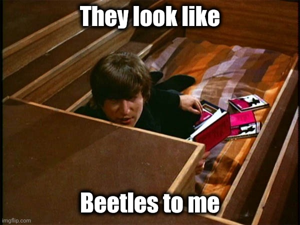 John in his pit | They look like Beetles to me | image tagged in john in his pit | made w/ Imgflip meme maker