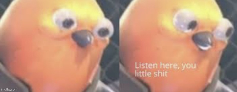 Listen here you little shit bird | image tagged in listen here you little shit bird | made w/ Imgflip meme maker