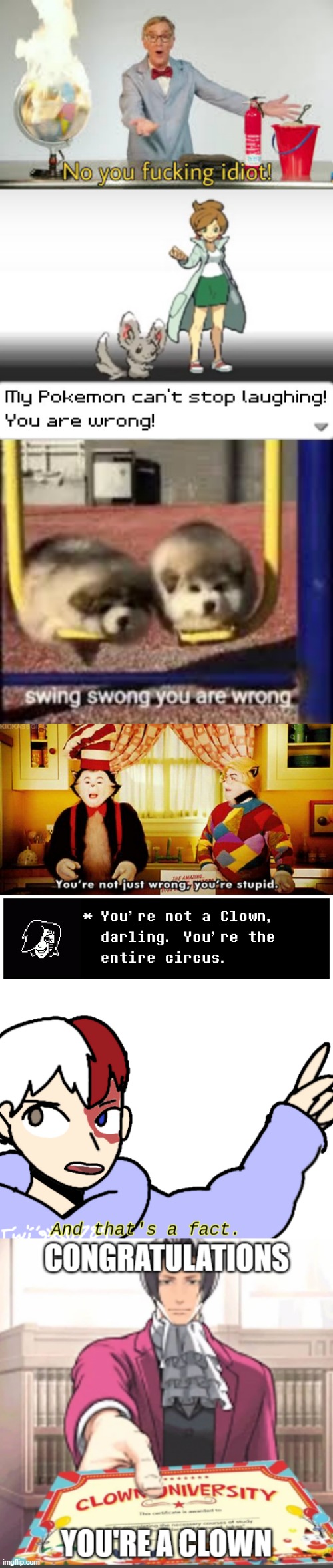image tagged in no you fucking idiot,my pokemon can't stop laughing you are wrong,swing swong,you're not just wrong you're stupid | made w/ Imgflip meme maker
