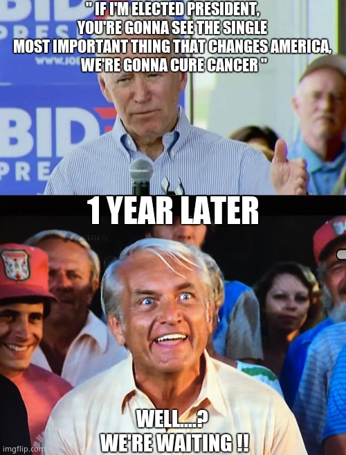 Still no cure, joe ? | " IF I'M ELECTED PRESIDENT, YOU'RE GONNA SEE THE SINGLE MOST IMPORTANT THING THAT CHANGES AMERICA,
 WE'RE GONNA CURE CANCER "; 1 YEAR LATER; WELL....?
 WE'RE WAITING !! | image tagged in caddyshack we're waiting,joe biden,cancer,cure,lies,political meme | made w/ Imgflip meme maker