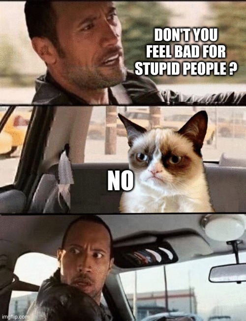 DON'T YOU FEEL BAD FOR STUPID PEOPLE ? NO | image tagged in the rock driving,grumpy cat,stupid people,no,one does not simply,its not going to happen | made w/ Imgflip meme maker