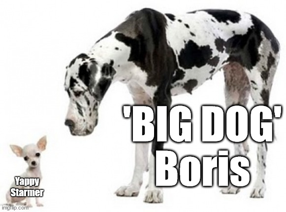 'BIG DOG' Boris v Starmer | 'BIG DOG'
Boris; Yappy
Starmer; #GBNews #Starmer #Starmer4pm #captainhindsight #Starmerout #GetStarmerOut #Labour #KeirStarmer #labourisdead #Momentum #labour #socialistsunday #socialistanyday #BorisJohnsonOut #BackBoris #BorisWitchHunt #BorisJohnson #ChristianWakeford #marr #bigdog #BBC | image tagged in big dog small dog,starmerout,getstarmerout,labourisdead,cultofcorbyn,partygate | made w/ Imgflip meme maker