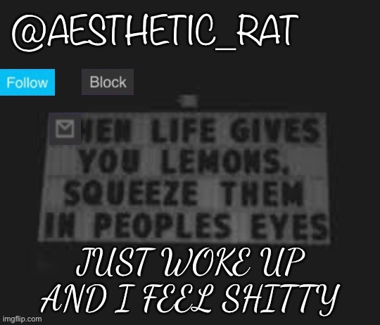 Aesthetic_Rat | JUST WOKE UP AND I FEEL SHITTY | image tagged in aesthetic_rat | made w/ Imgflip meme maker