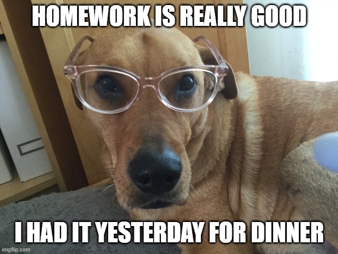 Smarty Dog | HOMEWORK IS REALLY GOOD; I HAD IT YESTERDAY FOR DINNER | image tagged in smarty dog | made w/ Imgflip meme maker