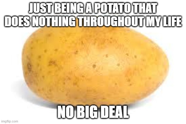 Potato | JUST BEING A POTATO THAT DOES NOTHING THROUGHOUT MY LIFE; NO BIG DEAL | image tagged in potato | made w/ Imgflip meme maker