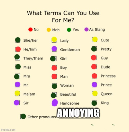 ye |  ANNOYING | image tagged in pronouns sheet | made w/ Imgflip meme maker