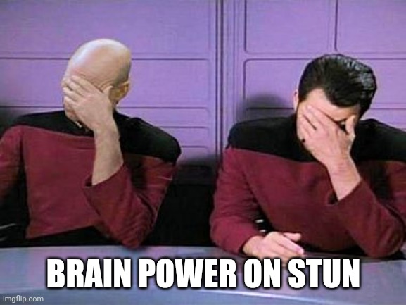 double palm | BRAIN POWER ON STUN | image tagged in double palm | made w/ Imgflip meme maker