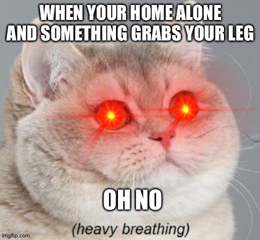 Oh no | WHEN YOUR HOME ALONE AND SOMETHING GRABS YOUR LEG; OH NO | image tagged in oh no,heavy breathing cat | made w/ Imgflip meme maker