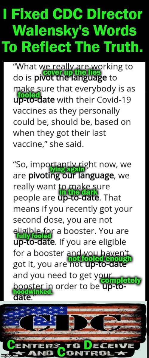 Fool Me Once, Shame on You, Fool Me Twice, Shame on Me, Fool Me Thrice, I'm Stuck on Stupid... | image tagged in politics,covid vaccine,cdc,lies,truth,side effects | made w/ Imgflip meme maker