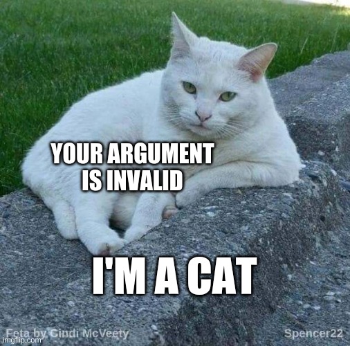 Your Argument Is Invalid | YOUR ARGUMENT IS INVALID; I'M A CAT | image tagged in feta,your argument is invalid,cat,attitude,what if i told you,one does not simply | made w/ Imgflip meme maker